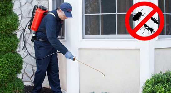 Karakoçan Böcek ve Haşere İlaçlama böcek ilaçlama ve haşere kontrolü — ilaclama-tr.com